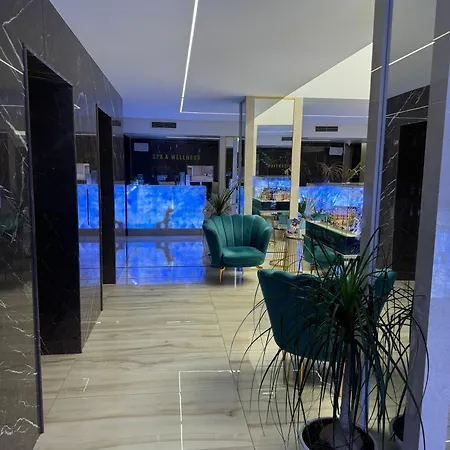 Harmony Grand - Gut